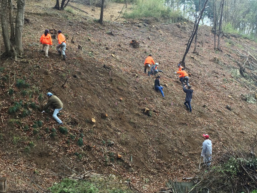 2015-04-05 13.25.33 HDR