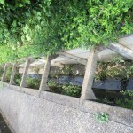 IMG_7318 (1280x960) (1280x960)