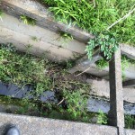 IMG_7319 (1280x960) (2)