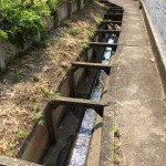 IMG_8173 (1024x1024)