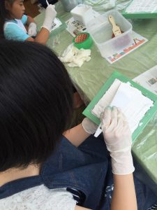 ロハスフェスタ2016_5901