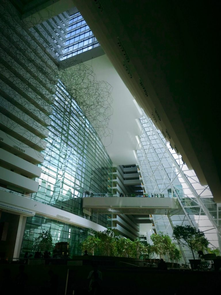 16-09-29-11-39-06-556_photo