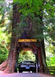 o0189026612013527137