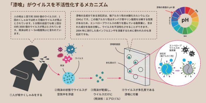 ウイルス不活性化のメカニズム