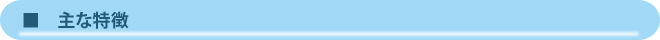 主な特徴