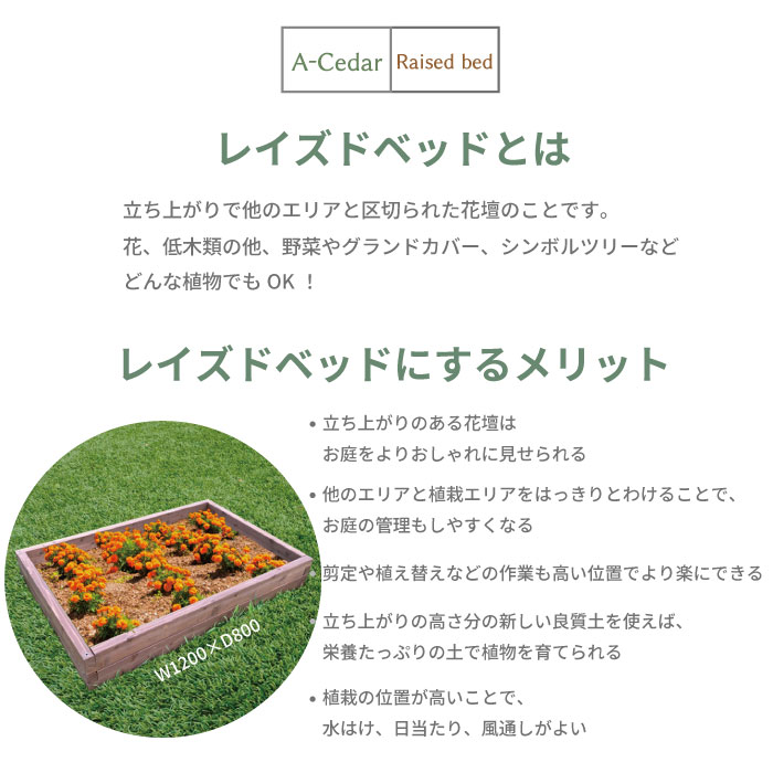 レイズドベッドとは 立ち上がりで他のエリアと区切られた花壇のことです 花、低木類の他、野菜やグランドカバー、シンボルツリーなどどんな植物でもOK！ レイズドベッドにするメリット 立ち上がりのある花壇はお庭をよりおしゃれに見せられる 他のエリアと植栽エリアをはっきりとわけることで、お庭の管理もしやすくなる 剪定や植え替えなどの作業も高い位置でより楽にできる 立ち上がりの高さ分の新しい良質土を使えば、栄養たっぷりの土で植物を育てられる 植栽の位置が高いことで、水はけ、日当たり、風通しがよい