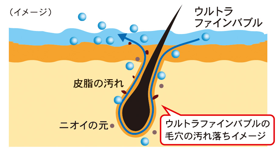 頭皮洗浄試験